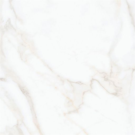 60x120 MAT R10 BEYAZ ALTIN