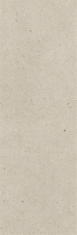 ACIK BETON R10B 7R 20x60