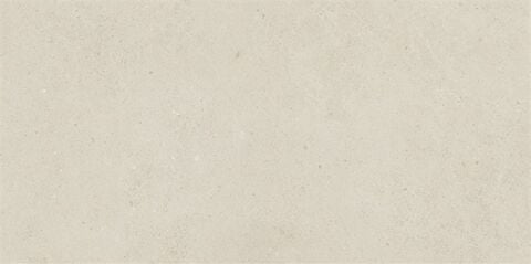 SOLID TONES 30x60 WHITE CONCRETE R10B 7R