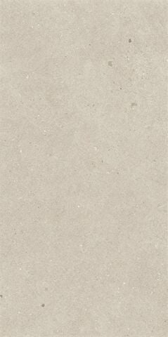 SOLID TONES 30x60 WHITE CONCRETE R11C 7R