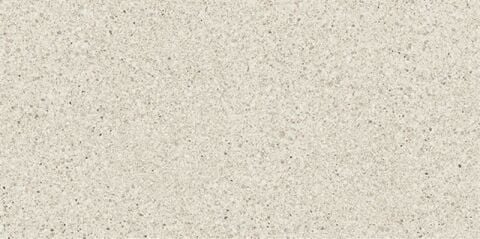 SOLID TONES 30x60 WHITE GRAIN R10B 7R