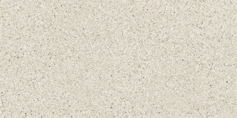 SOLID TONES 30x60 WHITE GRAIN R10B 7R