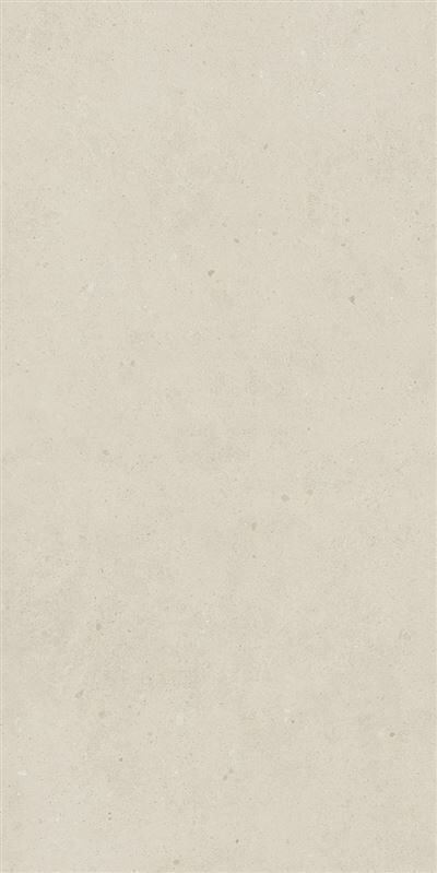 SOLID TONES 60x120 WHITE CONCRETTE R10B 7R