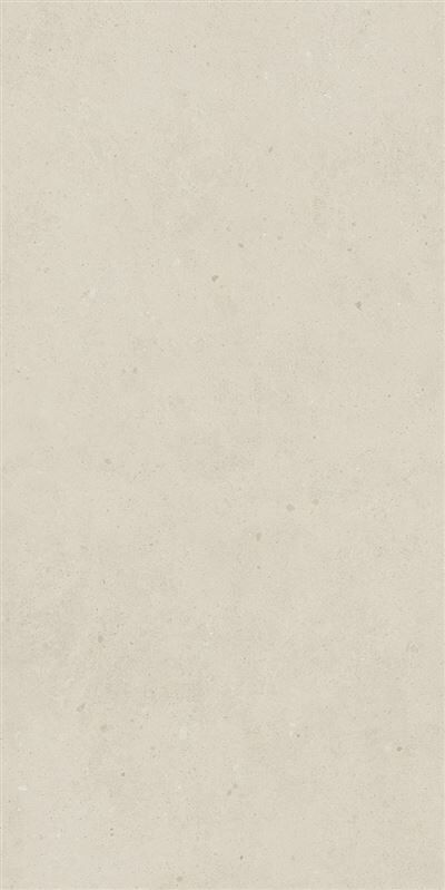 SOLID TONES 60x120 WHITE CONCRETTE R10B 7R
