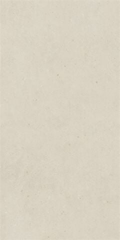 SOLID TONES 60x120 WHITE CONCRETTE R10B 7R