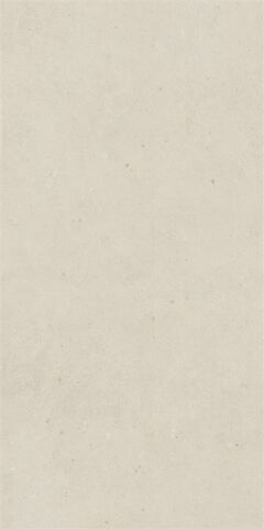 SOLID TONES 60x120 WHITE CONCRETTE R10B 7R