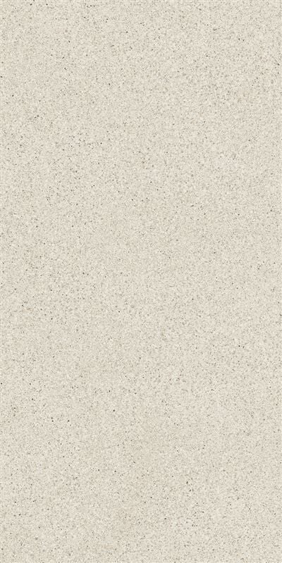 SOLID TONES 60x120 WHITE GRAIN R10B 7R