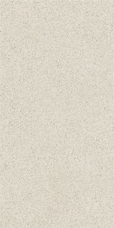 SOLID TONES 60x120 WHITE GRAIN R10B 7R