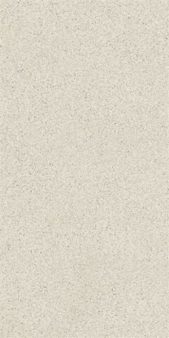 SOLID TONES 60x120 WHITE GRAIN R10B 7R