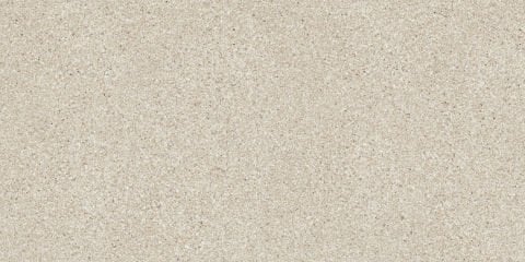 LIGHT GRAIN R10B 7R 60x120