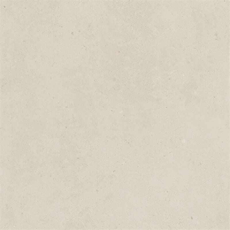 SOLID TONES 60x60 WHITE CONCRETE R10B 7R