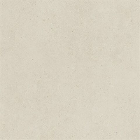 SOLID TONES 60x60 WHITE CONCRETE R10B 7R