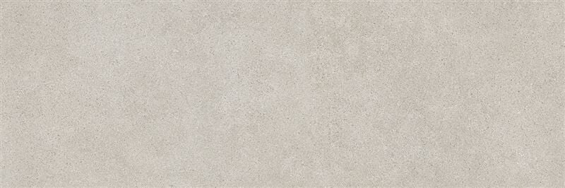 SOLID TONES 40x120 COOL GREY MATT REC