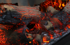 FLAMELINE Coza / RZN 110