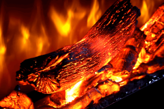 FLAMELINE Pao/ ZDT 100